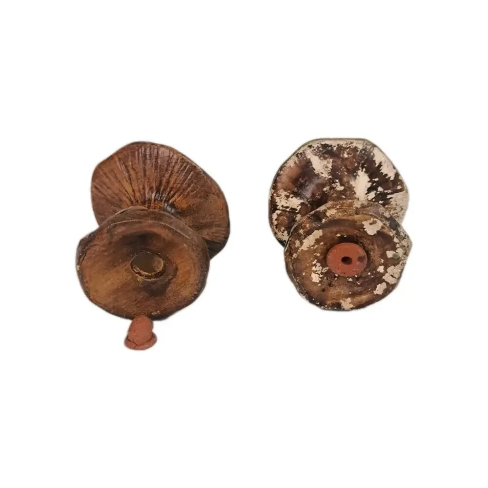 Vintage Mushroom Salt & Pepper Shakers Green Brown Fungi 2.5